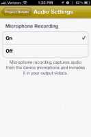 Project Setup Audio Options